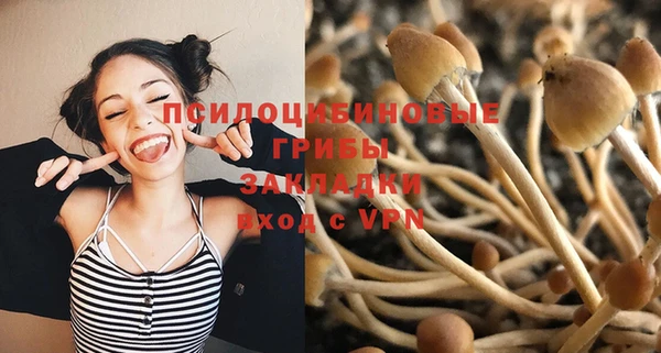 соль ск Верея