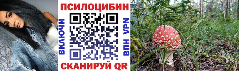 закладки  Черепаново  Галлюциногенные грибы ЛСД 